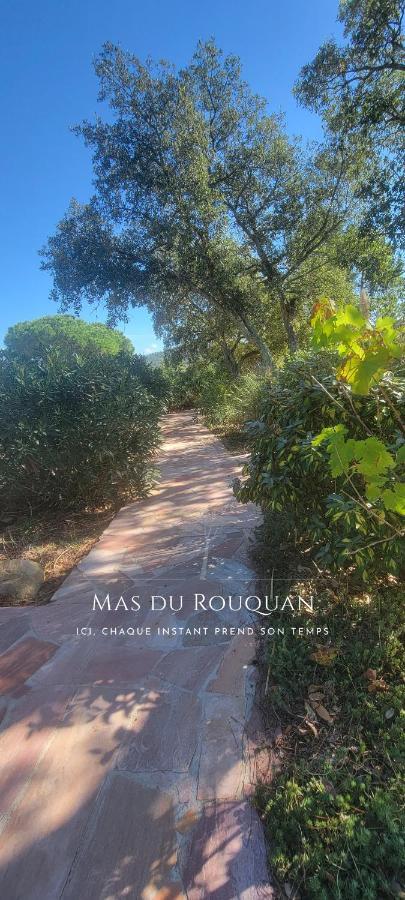 Le Mas Du Rouquan Видобан Экстерьер фото